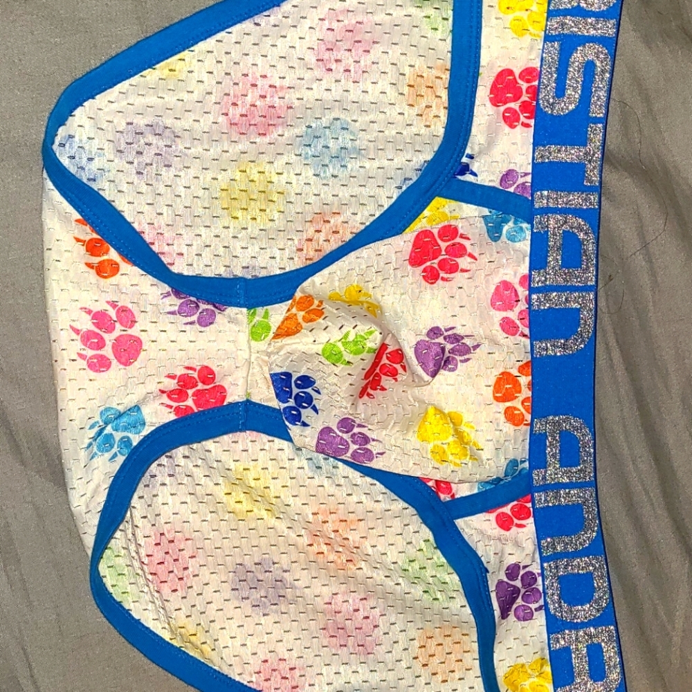 Andrew Christian mesh briefs